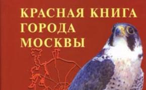 Сохраним краснокнижных вместе!