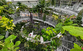 Флорариум закрыт до апреля