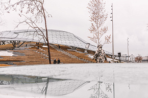 Стеклянная кора