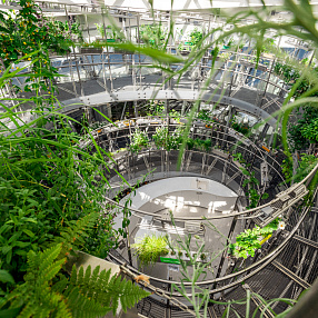 Florarium