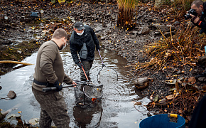 Fish from ponds moved to winter camp