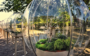 Moscow Flower Show в Парке искусств «Музеон»