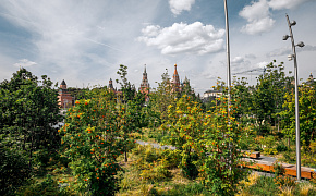 Summer and autumn met in the park
