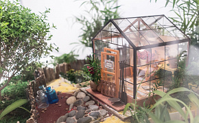 Сады в миниатюре: в холле Медиацентра открывается новая выставка