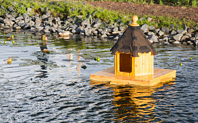 Домик для уток