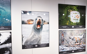 Visitors Find Mummified Ancient Animals in Zaryadye