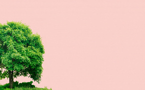 Международный парковый форум