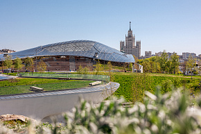 Стеклянная кора