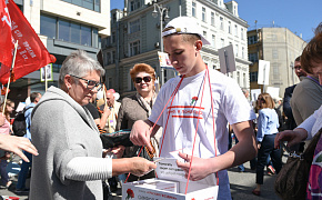 Красная гвоздика