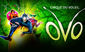 Cirque du Soleil  выступит в парке «Зарядье»! 